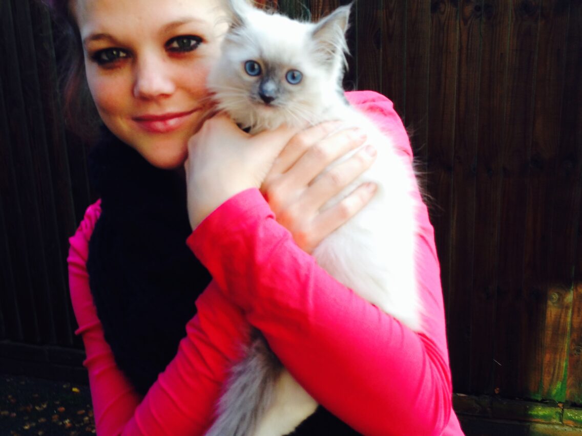 Why These Friendly Cat Breeds Deserve More Attention