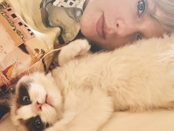 Now I Know That Taylor Swift’s Cat Is Worth $97 Million.