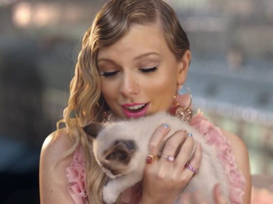 Taylor Swift: Miss Americana Netflix Documentary