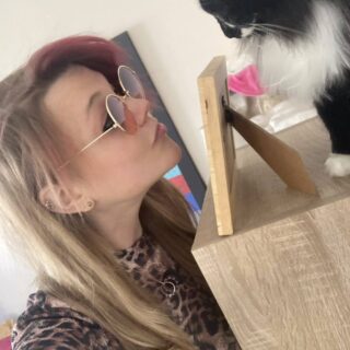 5 Reasons for a Schitt’s Creek Movie