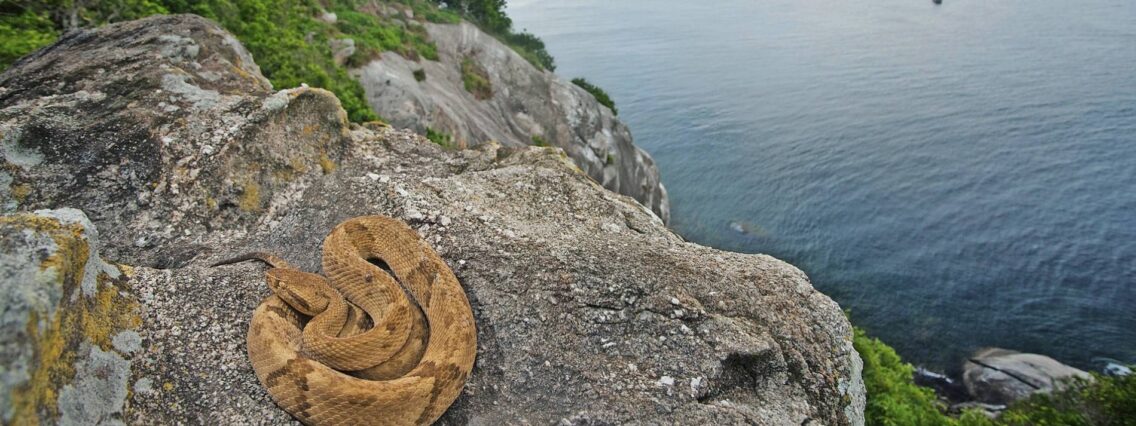 The World’s Most Dangerous Islands