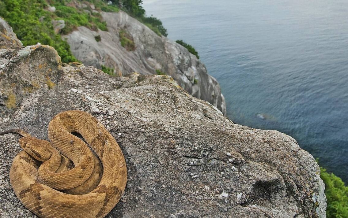 The World’s Most Dangerous Islands