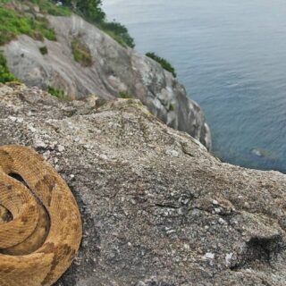 Best Hair Care Tips for Men and Women