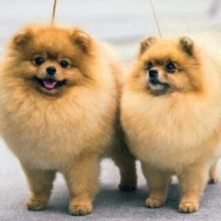 7 Ways ‘Modern Family’ Changed Sitcoms Forever