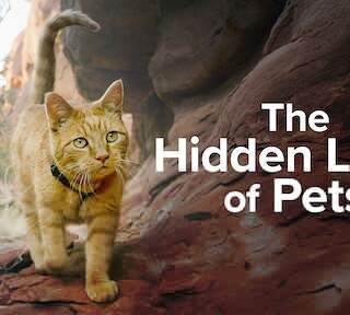 How Awesome Were Your Childhood Board Games?!