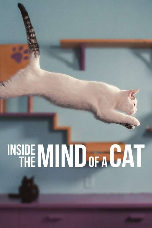 Inside the Mind of a Cat - A purr-fectly informative documentary