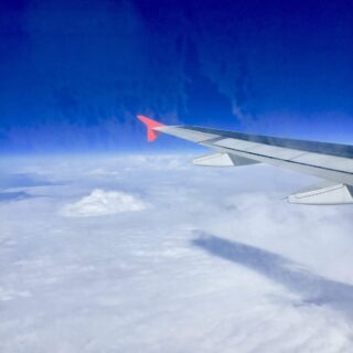 How To Still Enjoy Your Garden In Winter