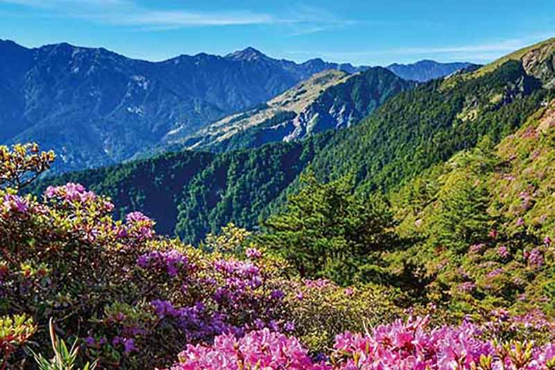 Pack Your Bags: Things to Explore in Taiwan