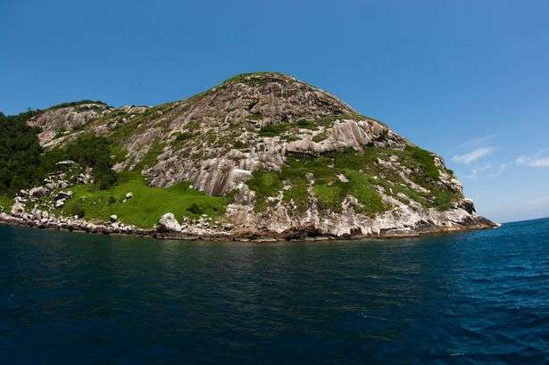 Let's Go to the Untouchable "Snake Island," Ilha da Queimada Grande!