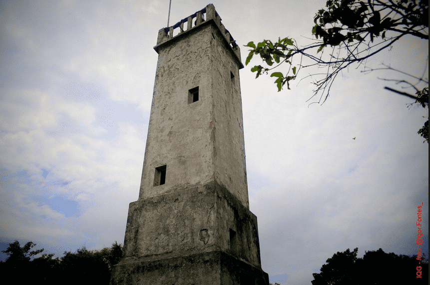 Let's Go to the Untouchable "Snake Island," Ilha da Queimada Grande!