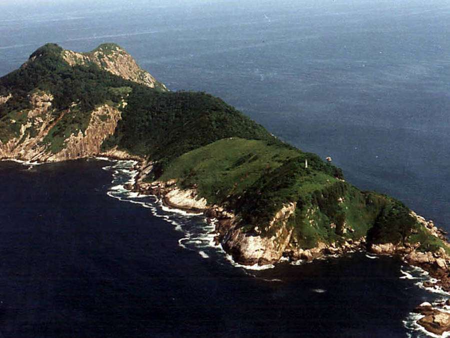 Let's Go to the Untouchable "Snake Island," Ilha da Queimada Grande!