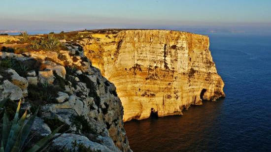 Discover the Ultimate Holiday Experience in Malta with Roam