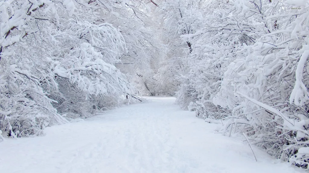 The Most Common Weather-Related Phobias