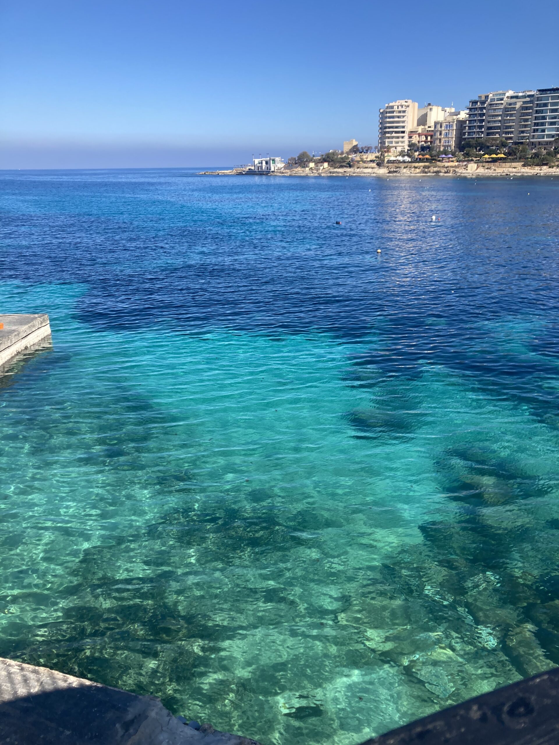 Top 10 Seafood Restaurants in Malta