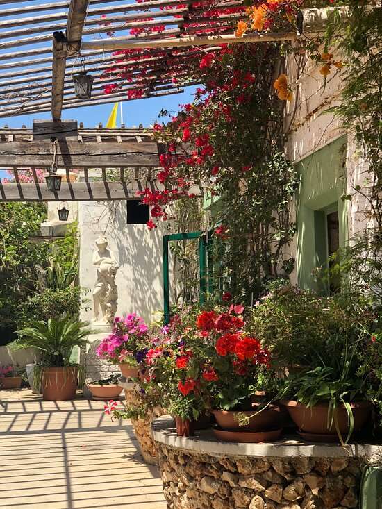 Charm of Café Riche in Birgu