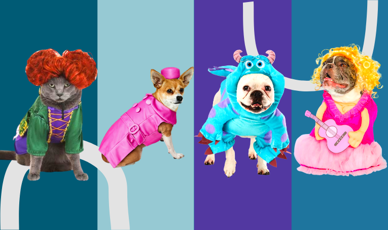 Halloween Pet Costumes: Ideas & Safety Tips