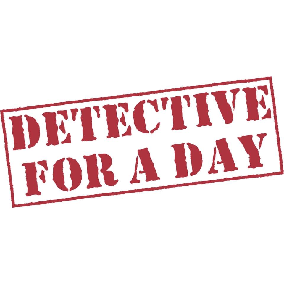 Detective for a Day: Solving Real Mysteries from Home