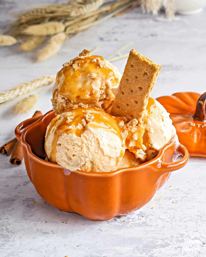 vScoop It Up: Amazing Ice Cream Recipes for Every Craving
