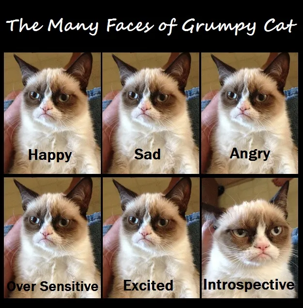 The Legend of Grumpy Cat