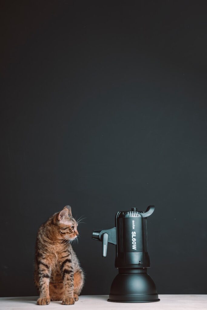 brown tabby cat on black and gray coffee maker