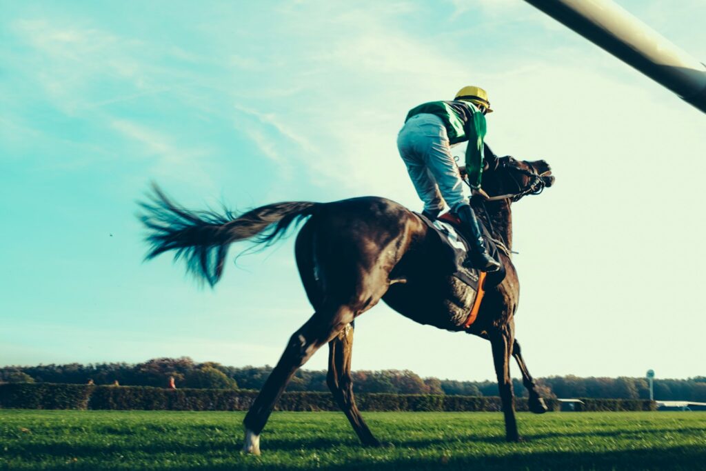 a jockey riding a horse in a grassy field