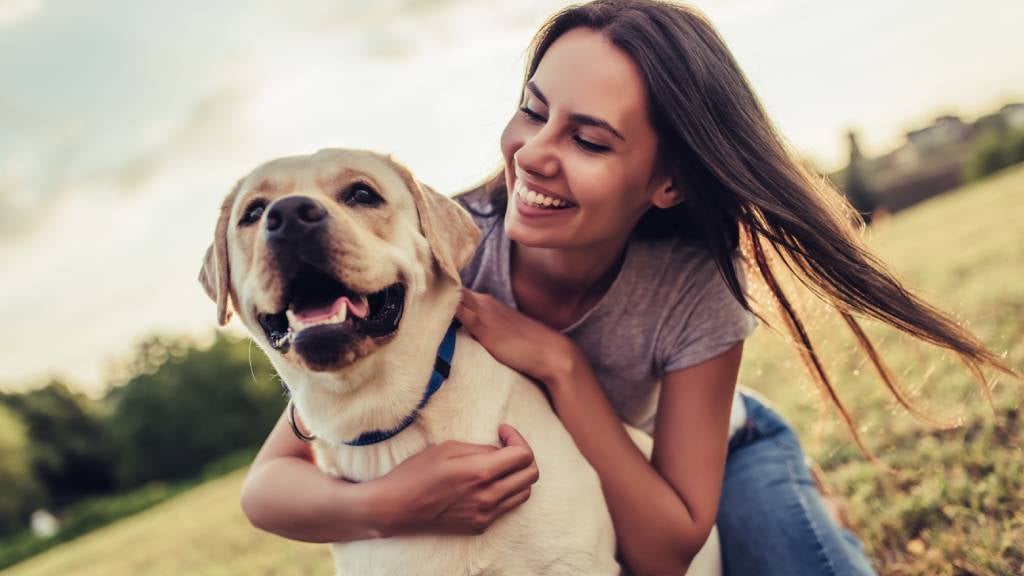 The Ultimate Guide to Pet Insurance in Malta