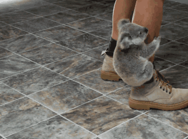 Kick Back & Relax in Australia With These Tips