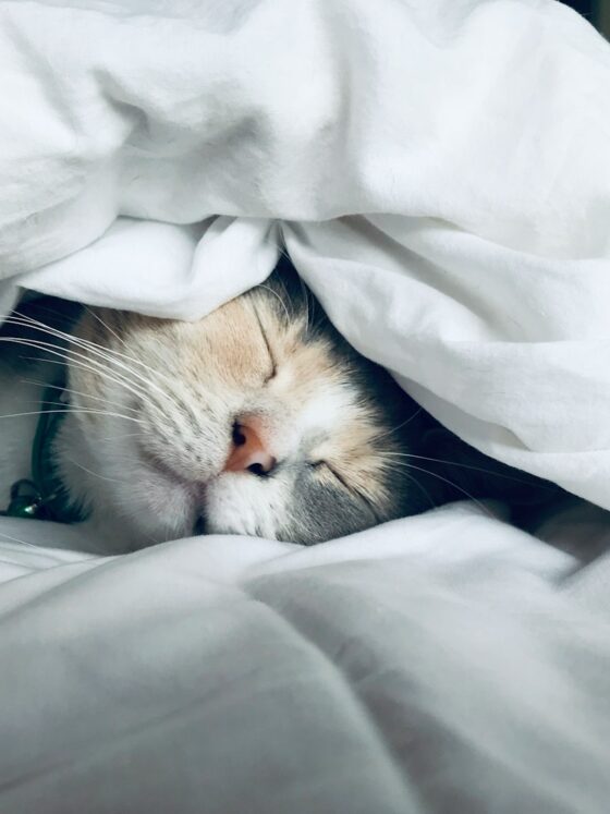 4 Ways to Enhance Sleep Quality