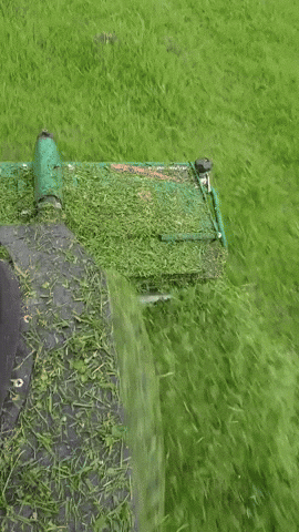Grass Isn’t Going to Cut Itself, But This Might Help