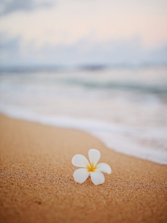 Fun Things to Do in Hawaii | Best Tours & Beaches