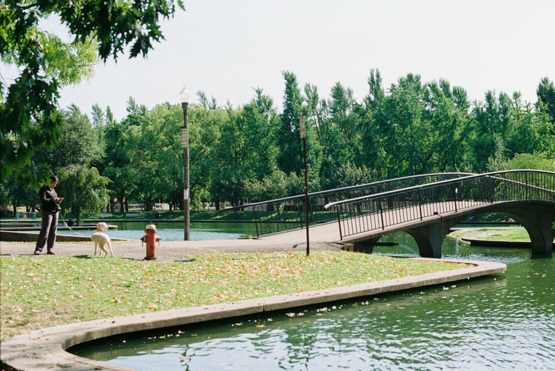 A bridge over a body of water next to a park