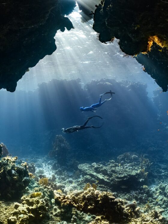 Scuba Diving for Beginners: Everything You Need to Know Before Your First Dive