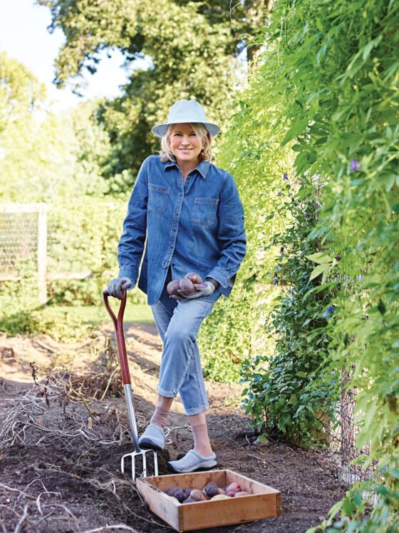 The Martha Stewart aesthetic — why everyone’s craving it