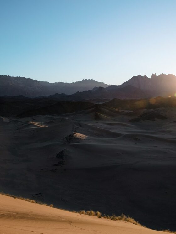 9 Things To Consider When Booking A Group Tour