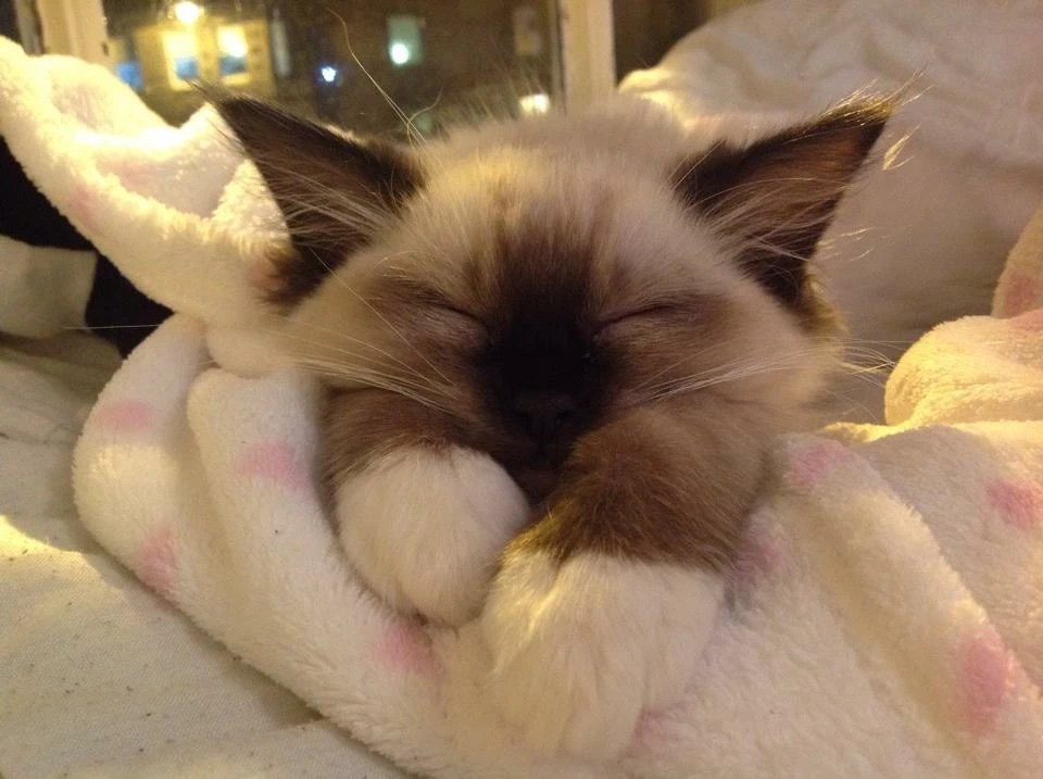 Wake Up Feeling Funky Fresh