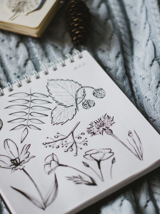 Top 10 Fun Places to Learn Sketching and Drawing Online!