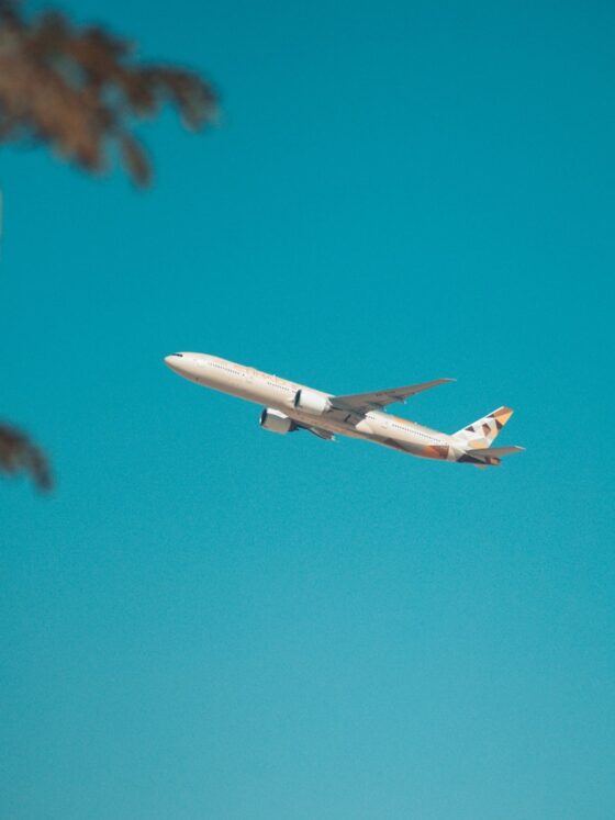 Air Travel Tips: Before You Book Your Next Flight