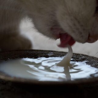 Top 3 Christmas Gift Ideas to Ask For