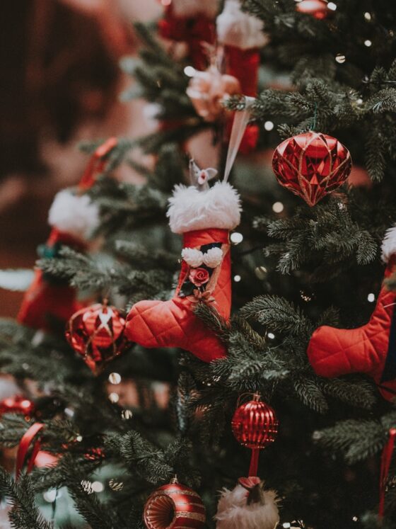 Top 3 Christmas Gift Ideas to Ask For