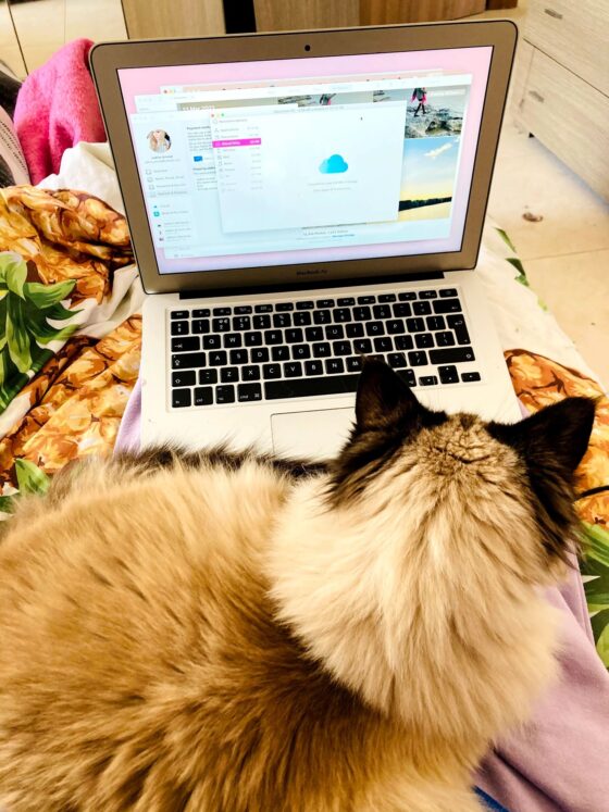 Hidden Costs of Pet Ownership You Need to Know