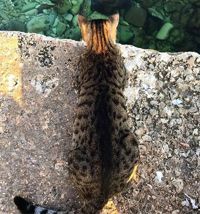 Staying Confident, No Matter What Is All About Preparation