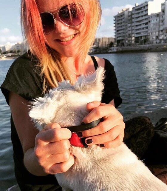 Signs Your Dog Has a Toothache