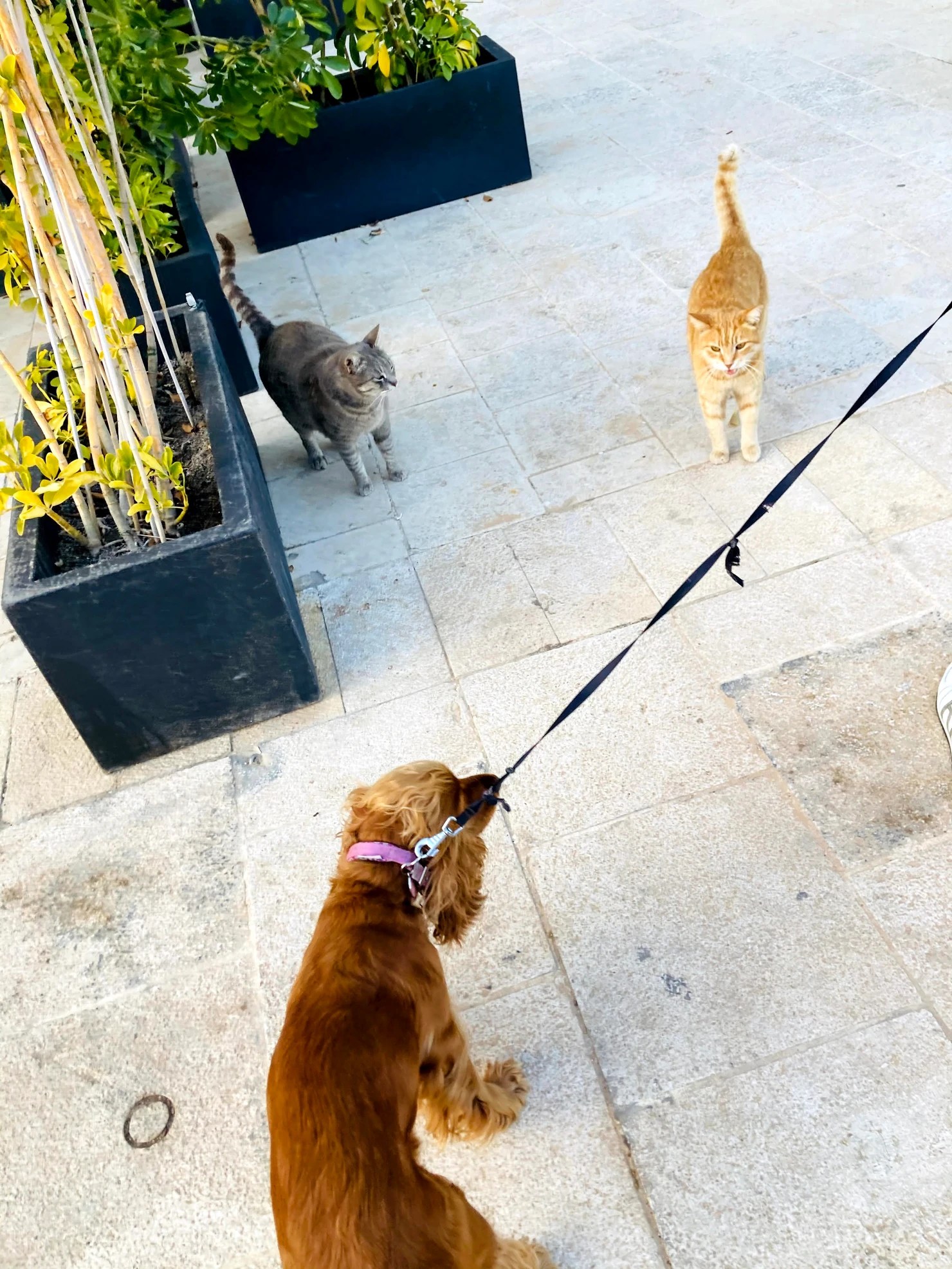 Simple Tips For Self-Love and Personal Growth