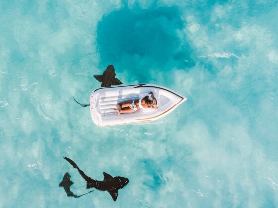 Simple Ways to Live More Ethically