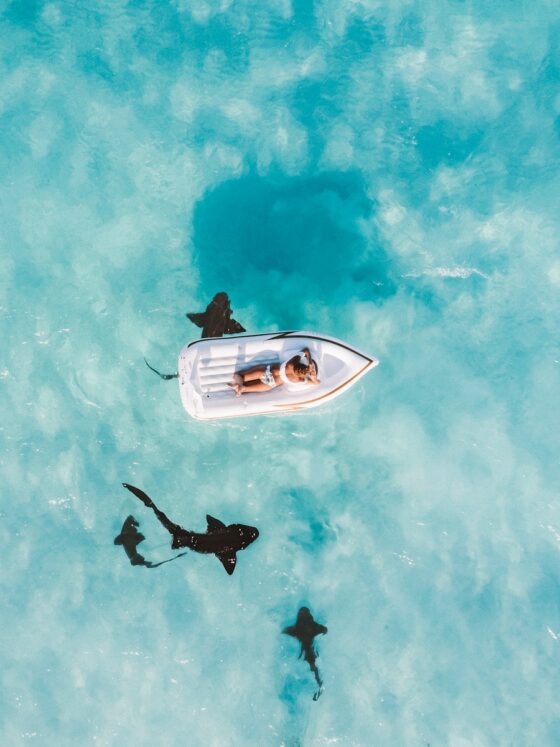 Simple Ways to Live More Ethically