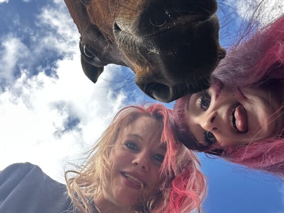 RMJ Horse Rescue Malta