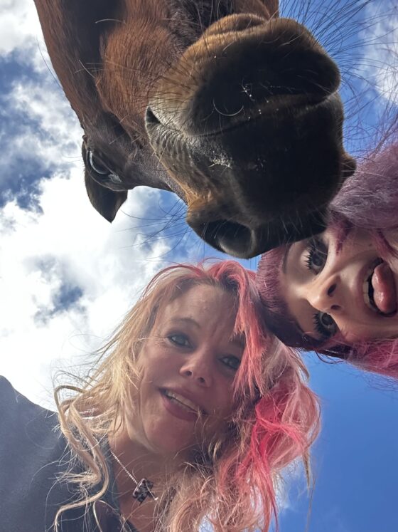 RMJ Horse Rescue Malta