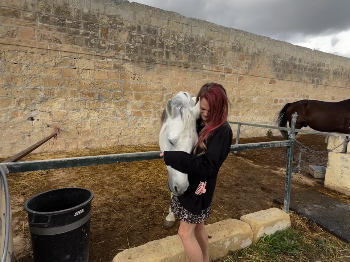 RMJ Horse Rescue Malta
