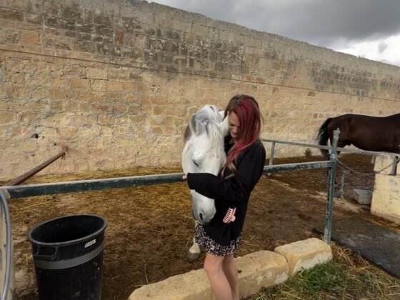 RMJ Horse Rescue Malta