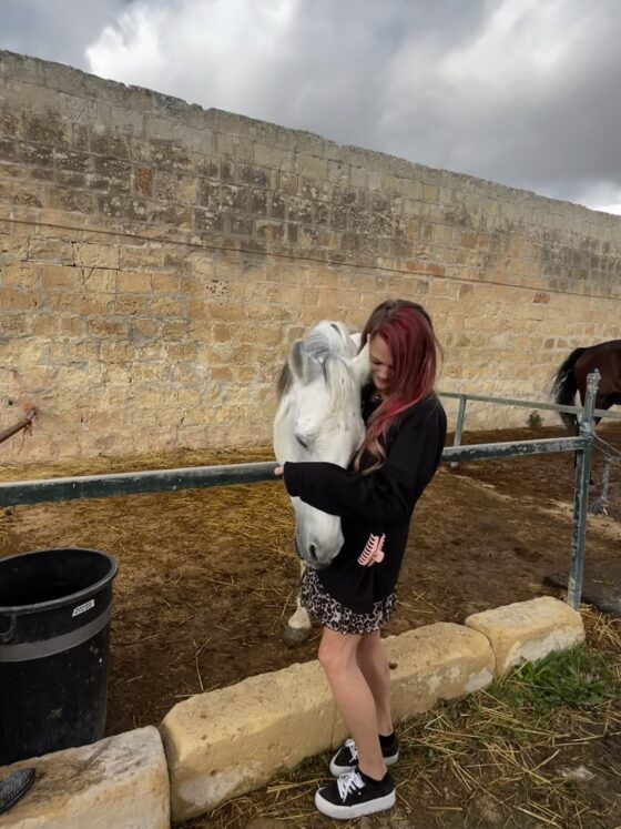 RMJ Horse Rescue Malta